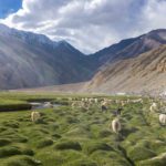 Essence of Ladakh- Ex Srinagar